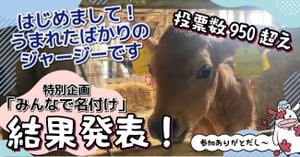 名付け特別企画サムネイル