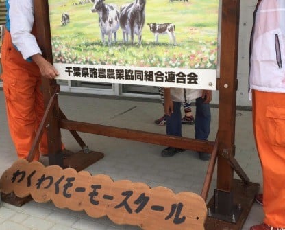 わくわくモーモースクール