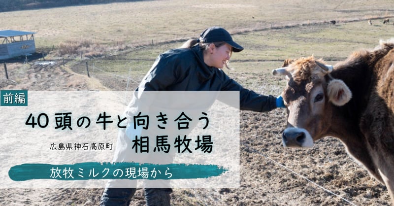 40頭の牛と向き合う広島県相馬牧場 前編 放牧ミルクの現場から