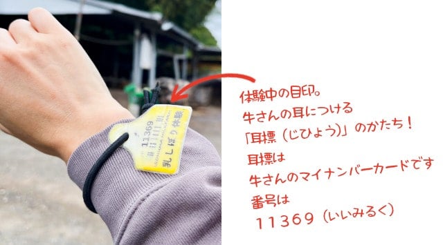 体験の腕章は耳標デザイン