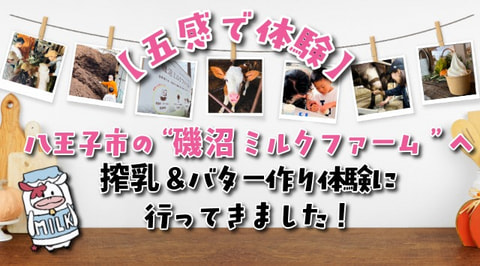 【五感で体験】八王子市の“磯沼ミルクファーム”へ搾乳＆バター作り体験に行ってきました！
