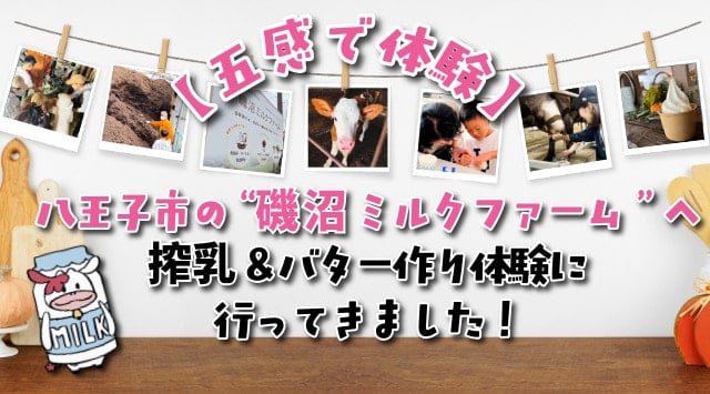 五感で体験 八王子市の磯沼ミルクファームへ搾乳&バター作り体験に行ってきました!