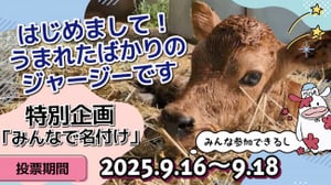 名付け特別企画サムネイル