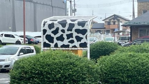 牛柄