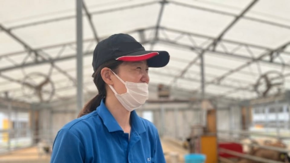 伊藤忠飼料 定免さん