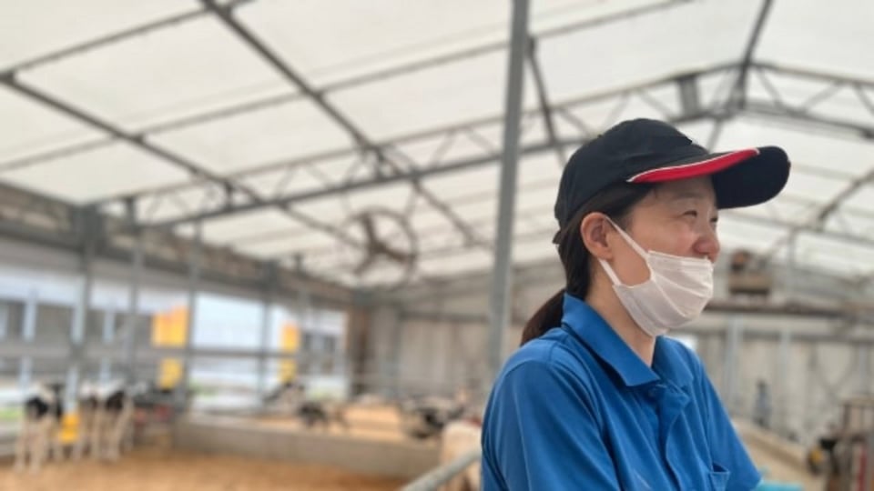 伊藤忠飼料 定免さん