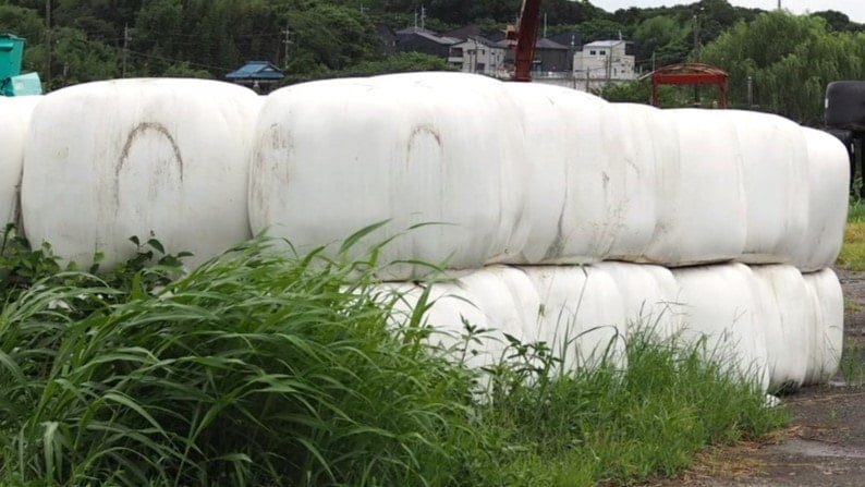 白い巨大な物体