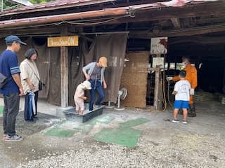 足の裏を消毒して牛舎の中へ