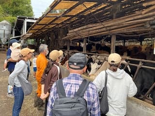 7種類の搾乳牛の説明