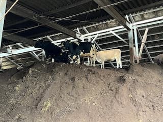 高いところが好き