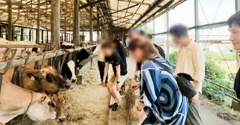 右端:ゼミ旅行で牧場牛舎を案内する須藤健太共同代表
