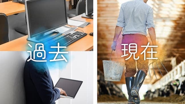 過去IT業界、現在牛のお世話