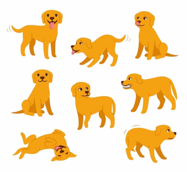 犬のいろいろなボディーランゲージ