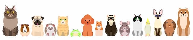 いろいろな動物
