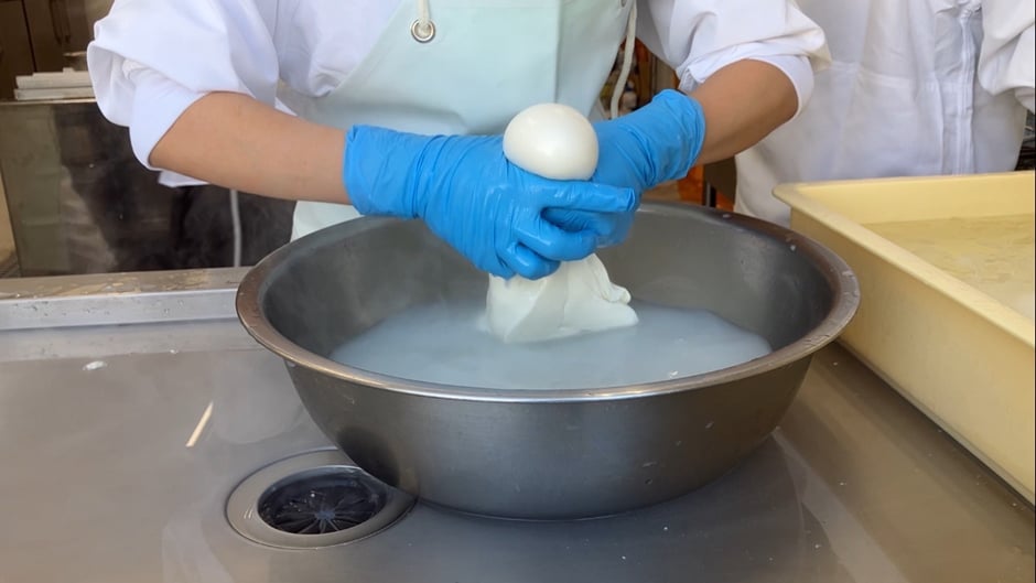 チーズ職人の手際、目の前で生乳からチーズへ生まれ変わる様子