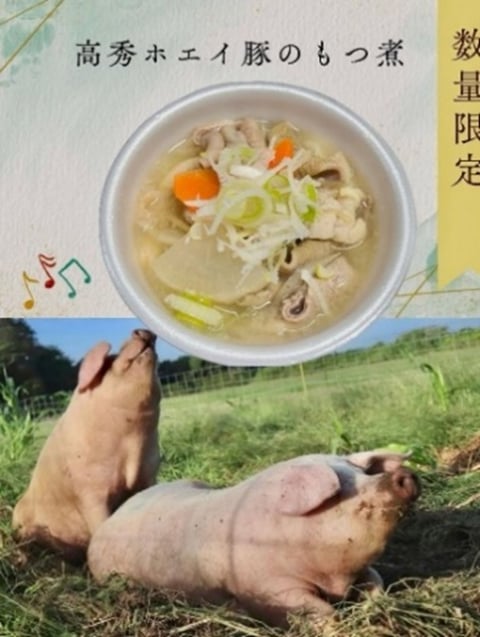 高秀牧場ホエイ豚もつ煮 すべて余すところなくいただく！素晴らしい！！