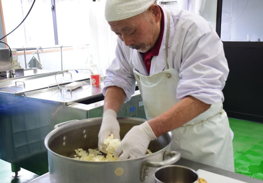 山田牧場のチーズ工房 刻んだカードを大鍋に入れて、手でほぐす