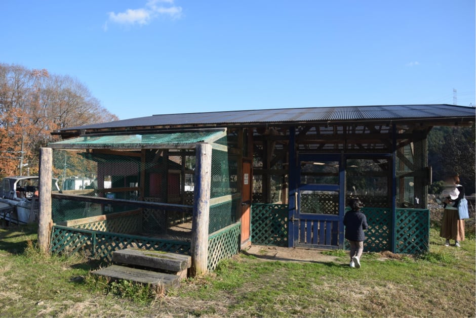 滋賀・信楽 山田牧場　山田牧場には孔雀、ニワトリ、やぎなどの動物もいて子供たちが触れ合っている