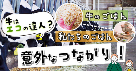 30歳まで農業を知らなかった私が驚いた！牛の「ごはん」から見る、身近なつながりを大切にする工夫