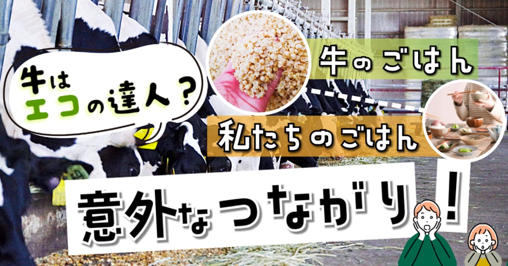 ウシはエコの達人？牛のごはん　私たちのごはん　意外なつながり！