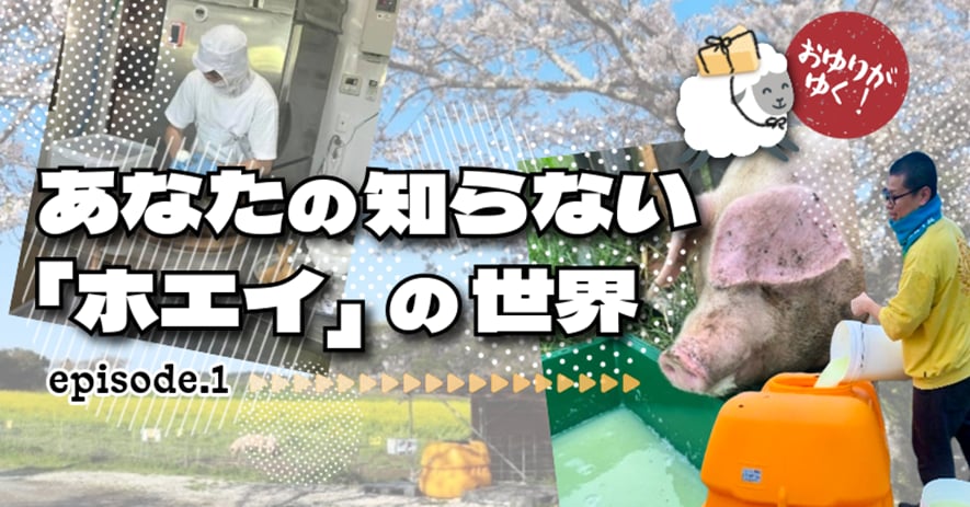 あなたの知らないホエイの世界 episode.1