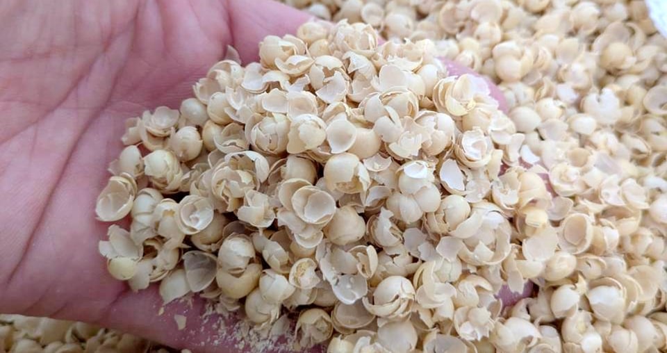 豆皮（まめかわ / 大豆の皮）：千葉県や茨城県の納豆工場などから