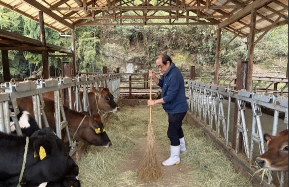 牧場牛舎のお掃除を手伝う夫