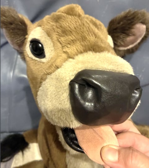 口を開いて舌を作ってもらった！