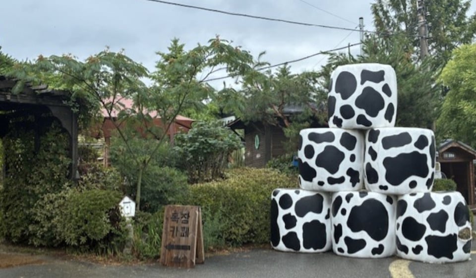 ホルスタイン柄のロールベールラップサイロが置いてあるカフェ入口