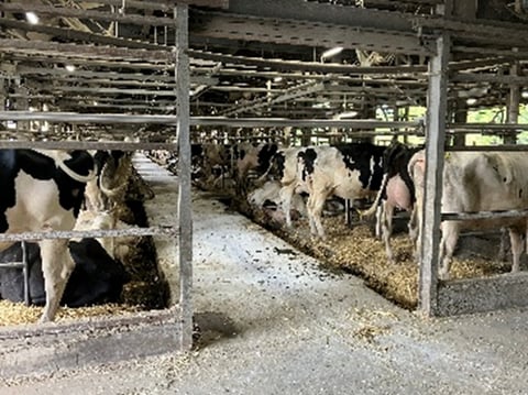 いつお伺いしても美しい牛舎