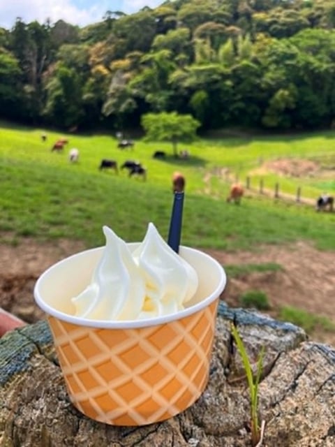 放牧地を見ながら須藤牧場のソフトクリームを味わう