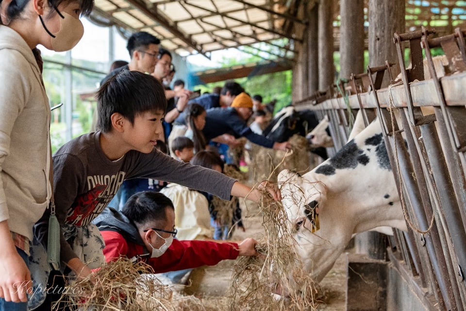 須藤牧場　エサやり体験イメージ