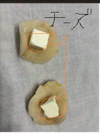 和菓子にミルクを！練り切りの中にチーズ