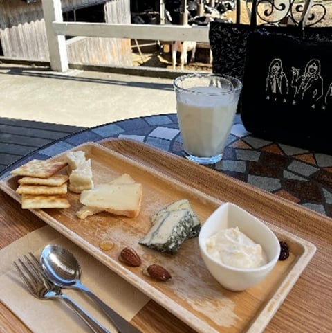 高秀牧場内ミルク工房ではチーズのほか牛乳、ジェラートも楽しめます
