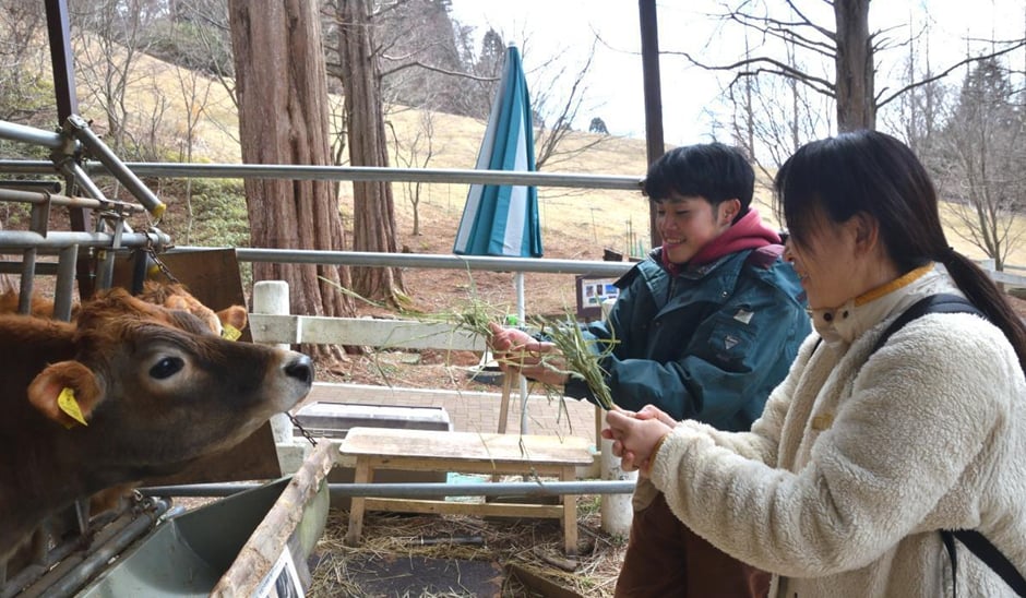干し草の餌やり体験、手前:筆者の友人、奥:六甲山牧場のスタッフさん(写真:筆者)