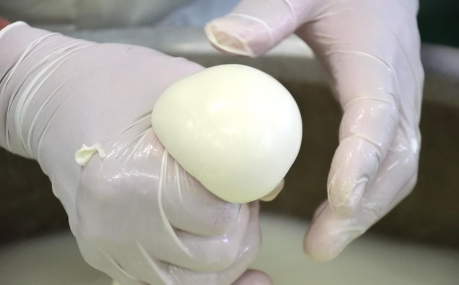 山田牧場 チーズ工房 ふっくら丸めたカードのくびれからちぎる