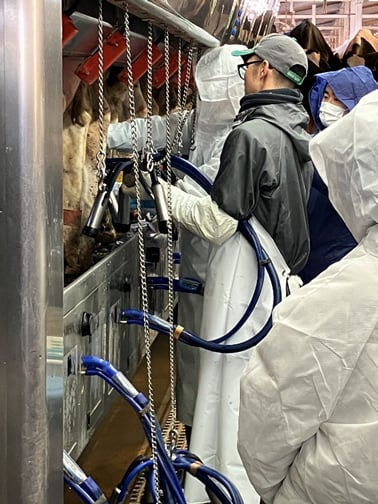 キッザニア 圓谷社長 本気で酪農体験 動画制作の裏側　さく乳体験