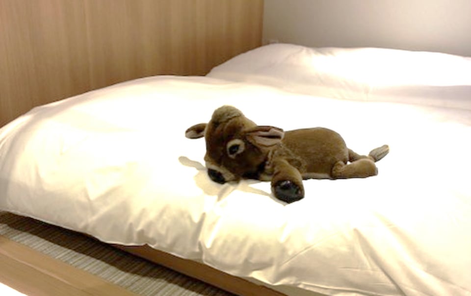 牧場体験と宿泊の特別プラン、牛のぬいぐるみ付きホテル