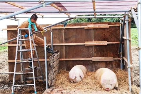 豚さん達の小屋も手作り