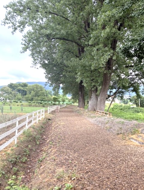 牧場内の遊歩道