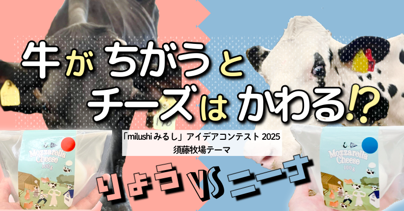牛がちがうとチーズはかわる⁉須藤牧場アイデアコンテスト2025 りょうvsニーナ
