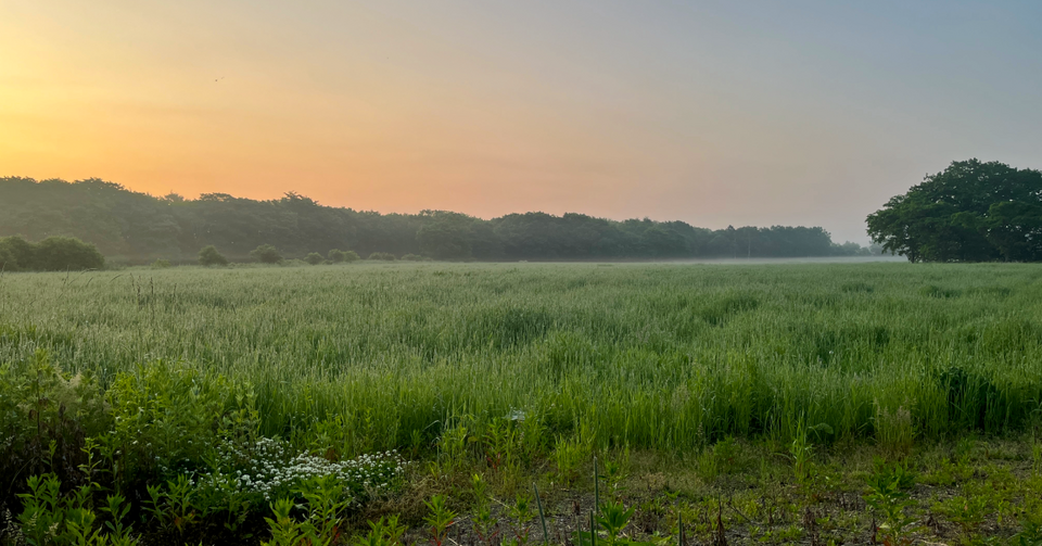 標津、６月の３時半。幻想的な風景！