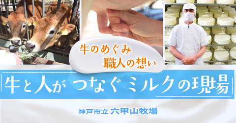 ミルクの行き先—チーズ工房と搾乳体験で見えた、六甲山牧場の循環