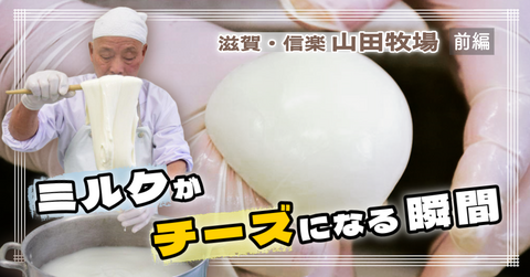 新鮮なミルクがモッツァレラチーズになる瞬間をウォッチしてきた！