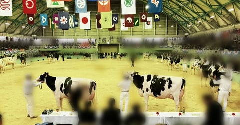 「全共」審査会場