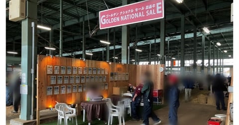 ゴールデンナショナルセール