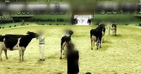 「全共」審査のようす