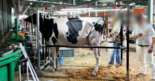 出品直前！緊張感たっぷり！