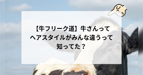 【牛フリーク道】牛さんってヘアスタイルがみんな違うって知ってた？