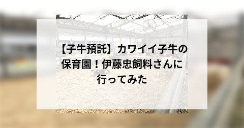 【子牛預託】カワイイ子牛の保育園！伊藤忠飼料さんに行ってみた